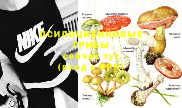 мескалин Белоозёрский