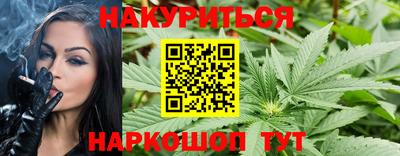 сатива Лесосибирск
