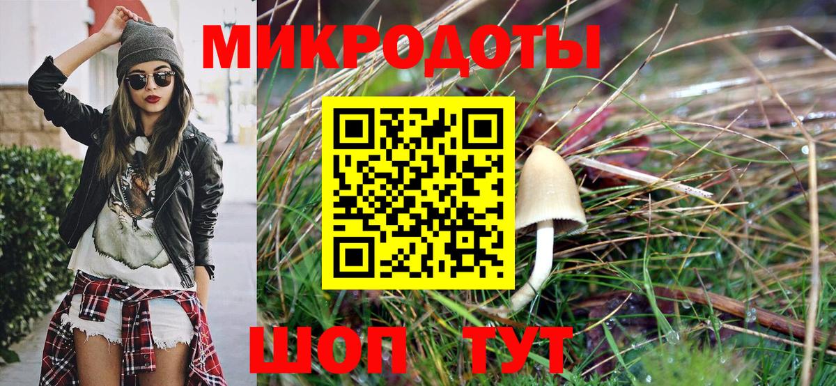 Псилоцибиновые грибы GOLDEN TEACHER Гусев