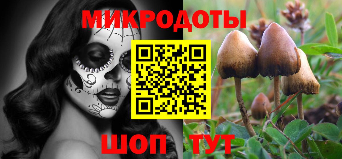 цена наркотик  Вход с VPN  Гусев  Галлюциногенные грибы Psilocybine cubensis 